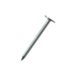  Roofing nail, 2,5×36, white zinc, 5000g